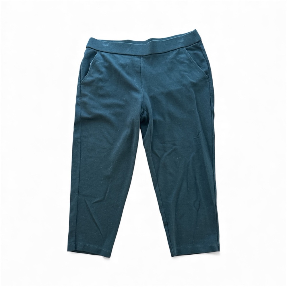Eileen Fisher Black Pants